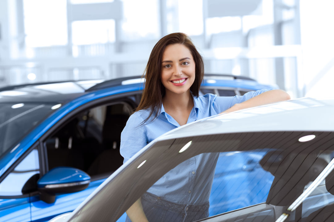Vendita Auto Canavese